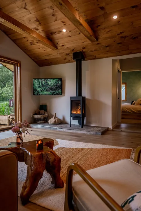 Upstate New York Modern Cabin Living Room