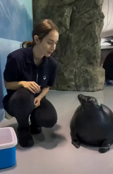 Telling each other's secrets..