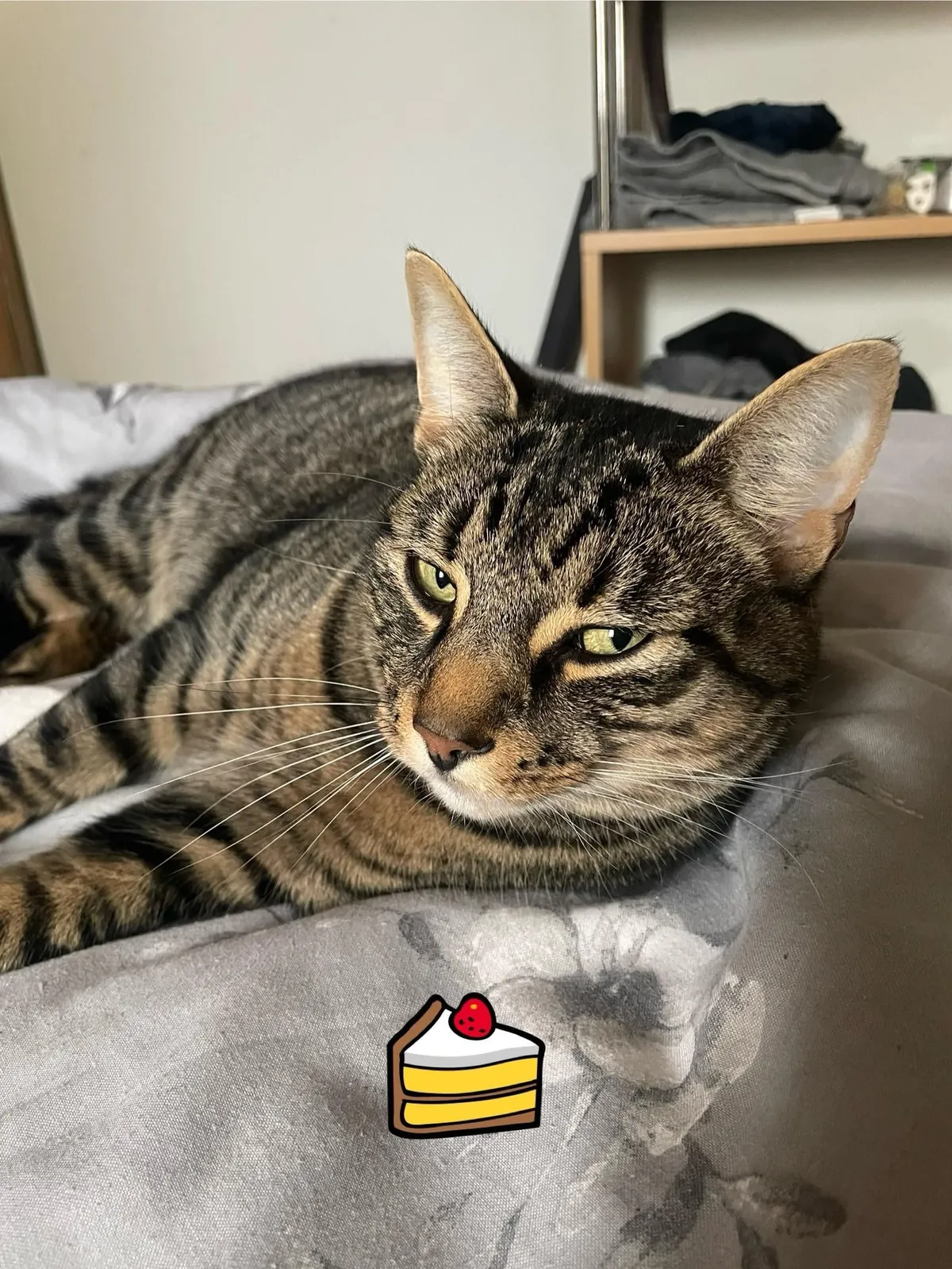 Big man turns 3 today