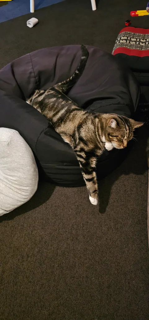 The way he sleeps. From streets to sleeps.