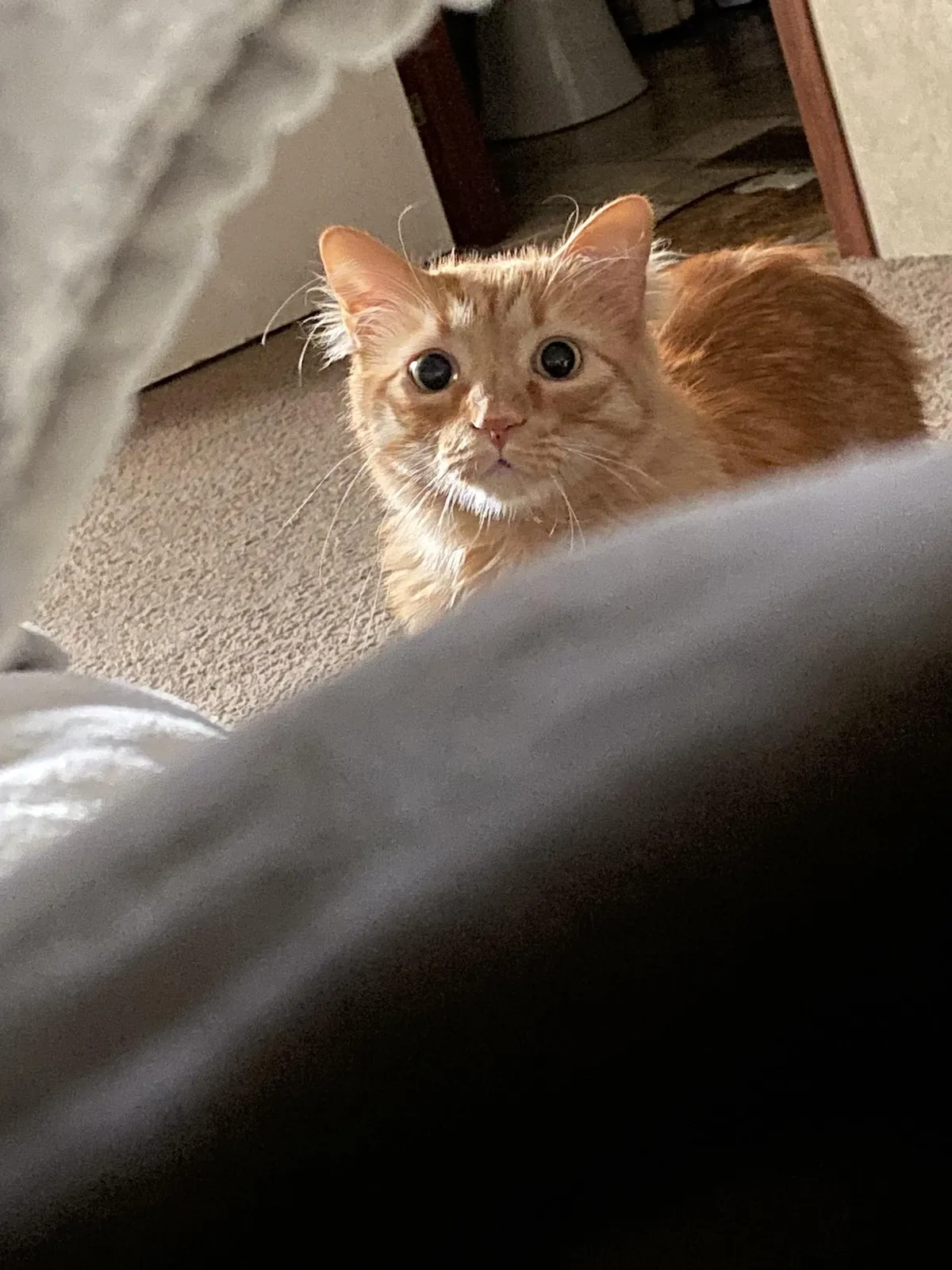 The first thing I see when I wake up each morning…