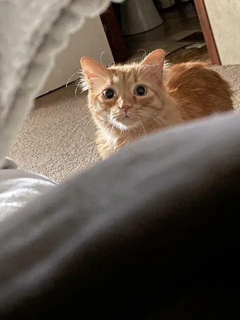 The first thing I see when I wake up each morning…