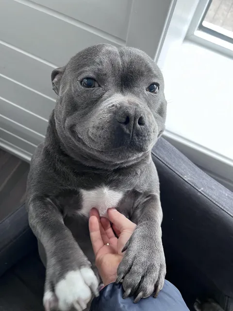 Don’t stop please ))