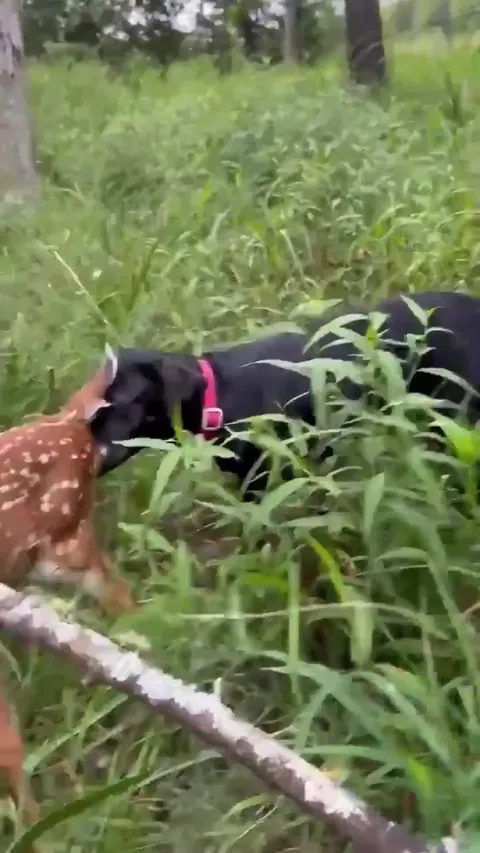 Unlikely young friends