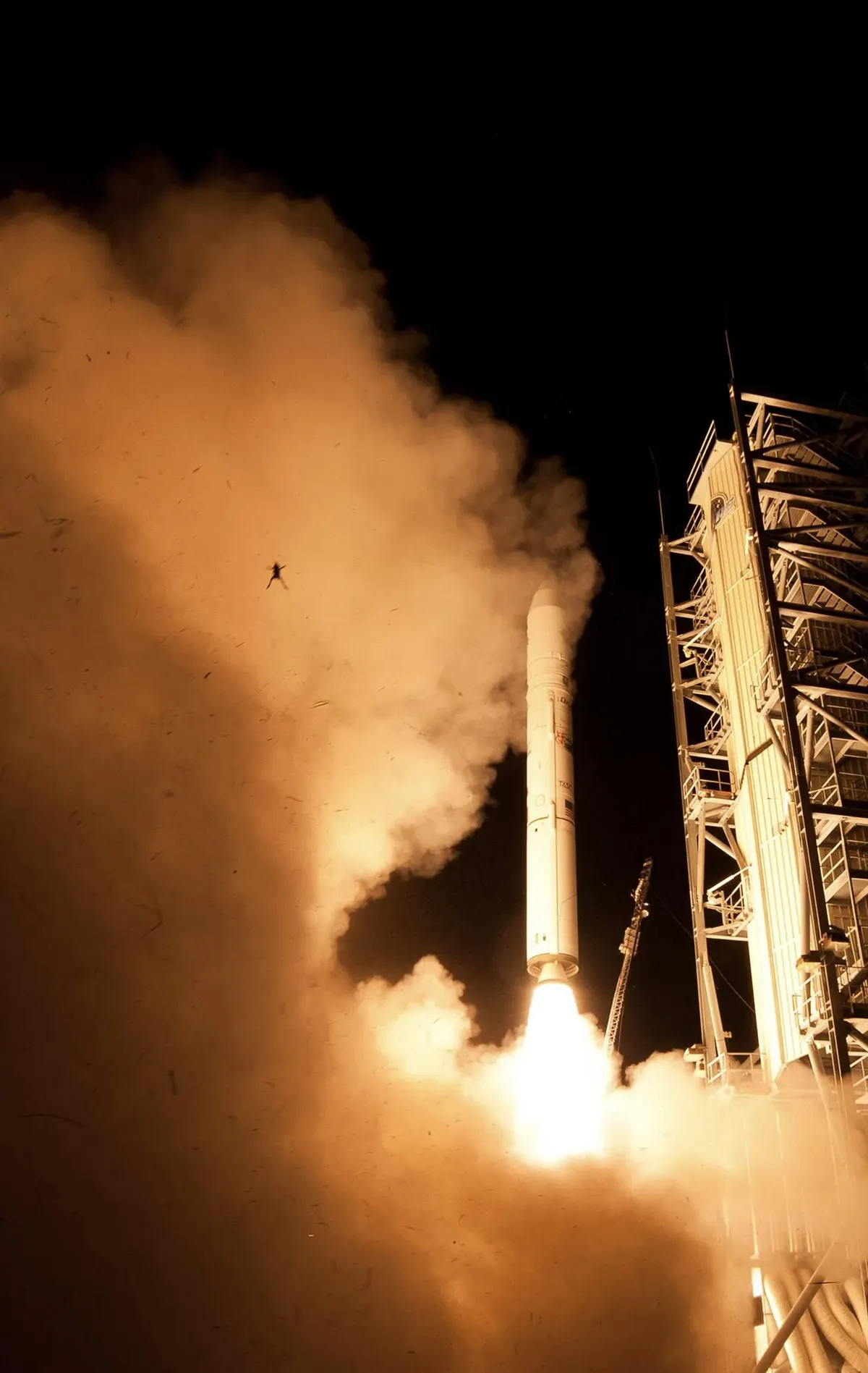 Frog spotted during Nasa rocket launch 2013