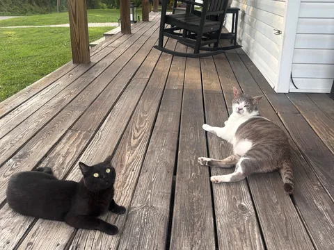 7 years with my Middle Eastern girl