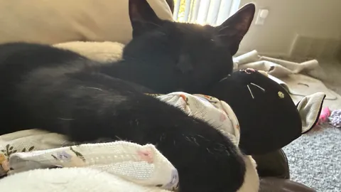 Soup Update: HE IS AN ADULT!!!