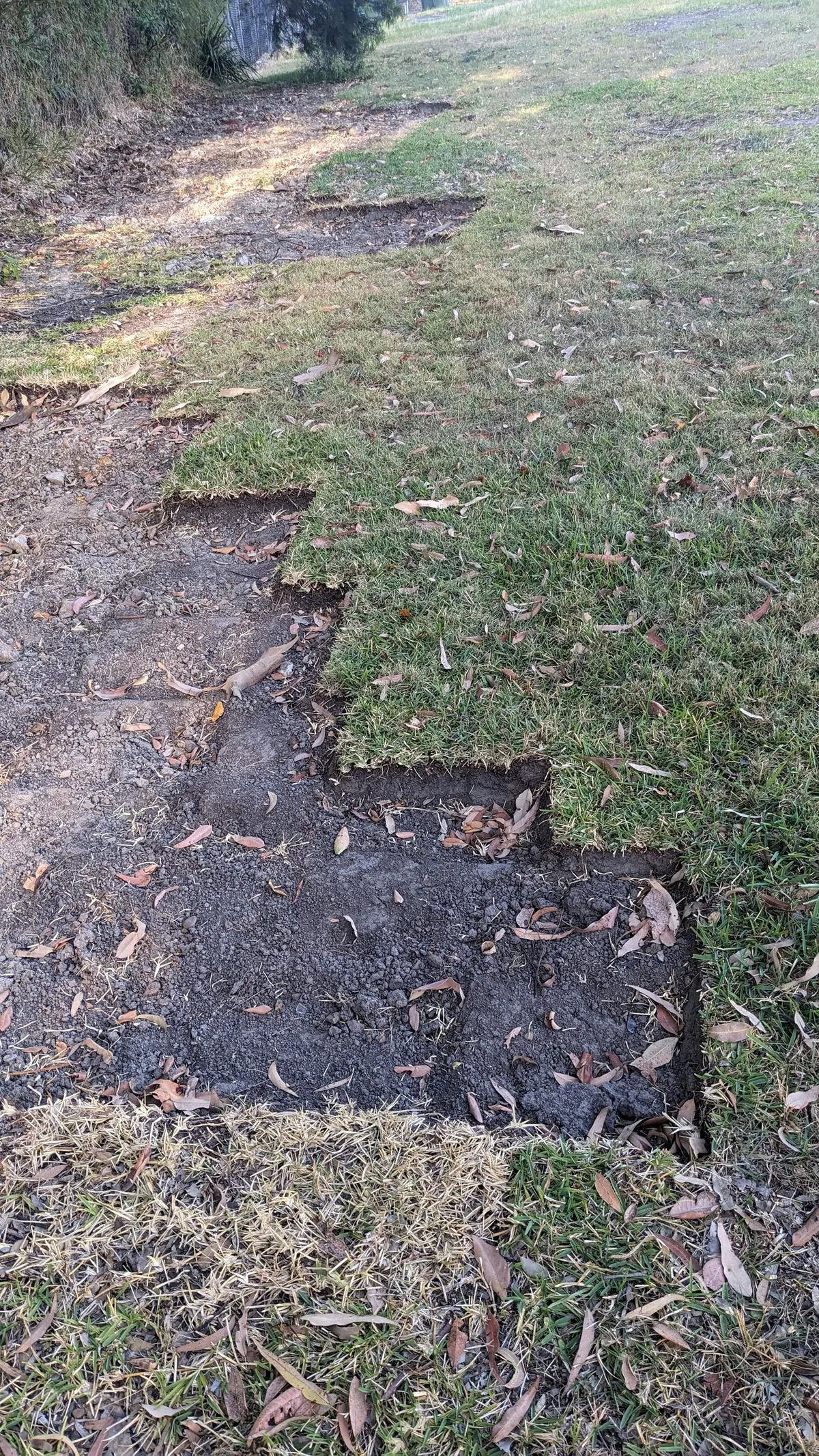 Someone is stealing turf from my local council park