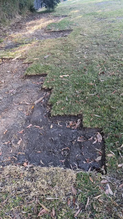 Someone is stealing turf from my local council park