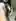 scroll to see some chinese boobies