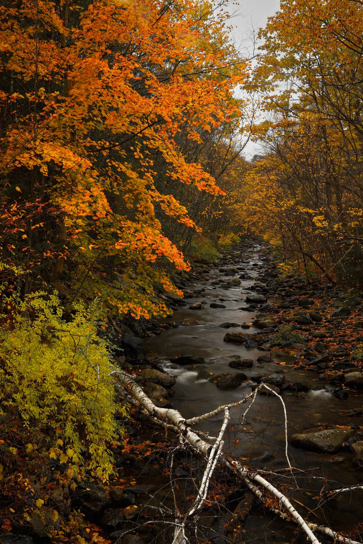 Late Fall in Connecticut