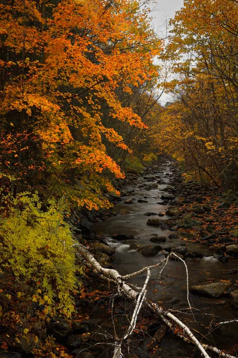 Late Fall in Connecticut