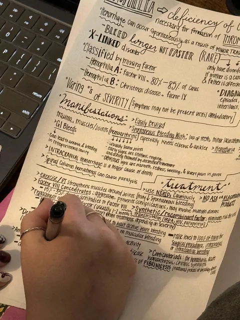 My wife’s notes for school.