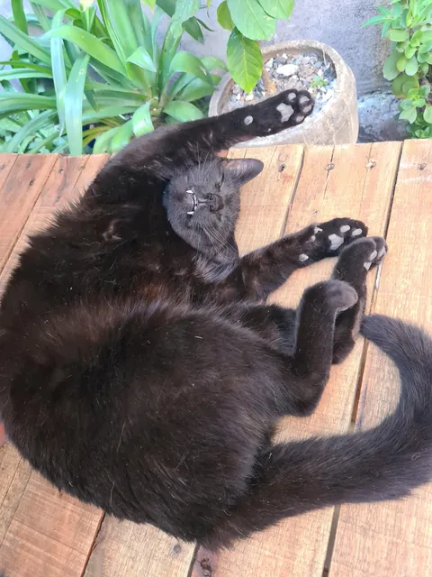 The love of my life. I have never loved anyone as much as I love my baby 😭💘