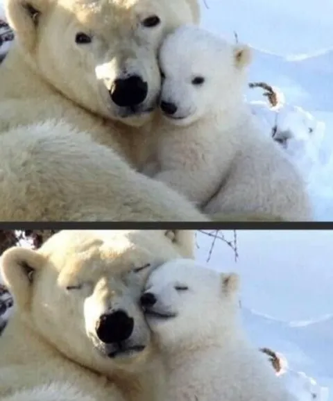 Nothing in nature is stronger than a mother