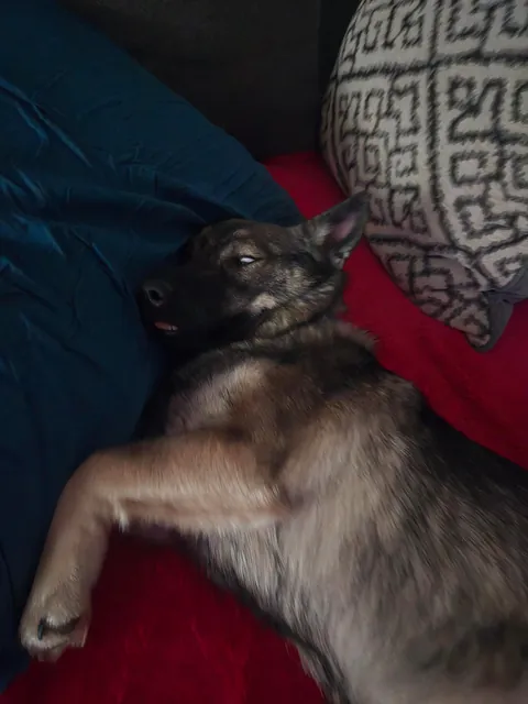 Shelob hopes you have a good weekend!