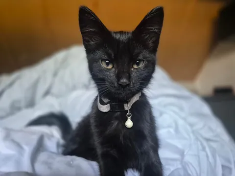 My void is 1! 🥳🥳