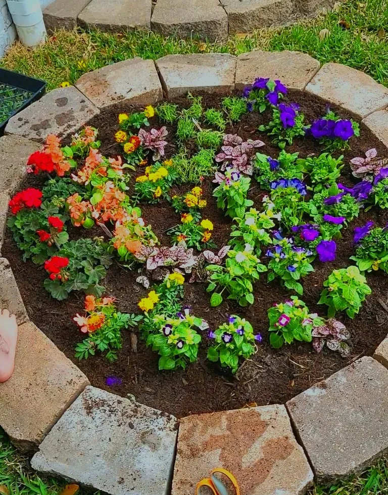 My younger sibling (13) made a rainbow garden. They are very proud of it and wanted me to post it