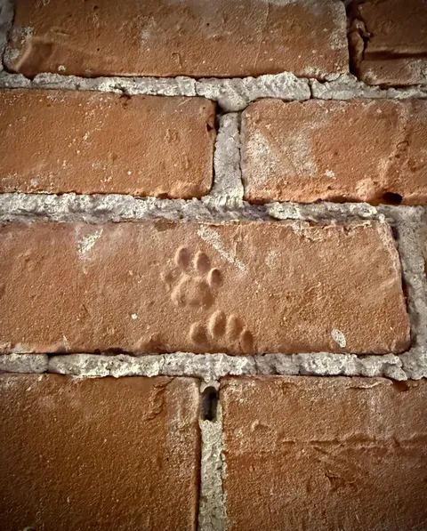 Moved into a 160 year old loft and found kitty paw prints in the masonry