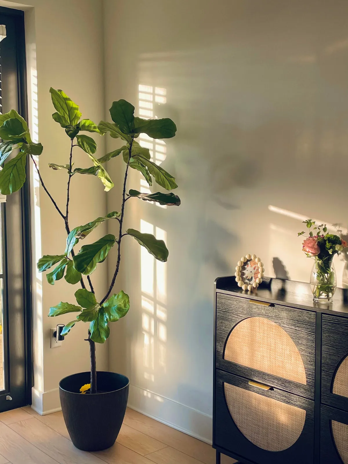 Trying to romanticize my rent🤭