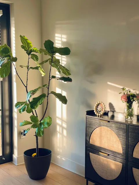 Trying to romanticize my rent🤭