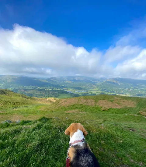 Best decision I ever made! (Poppy) 😉