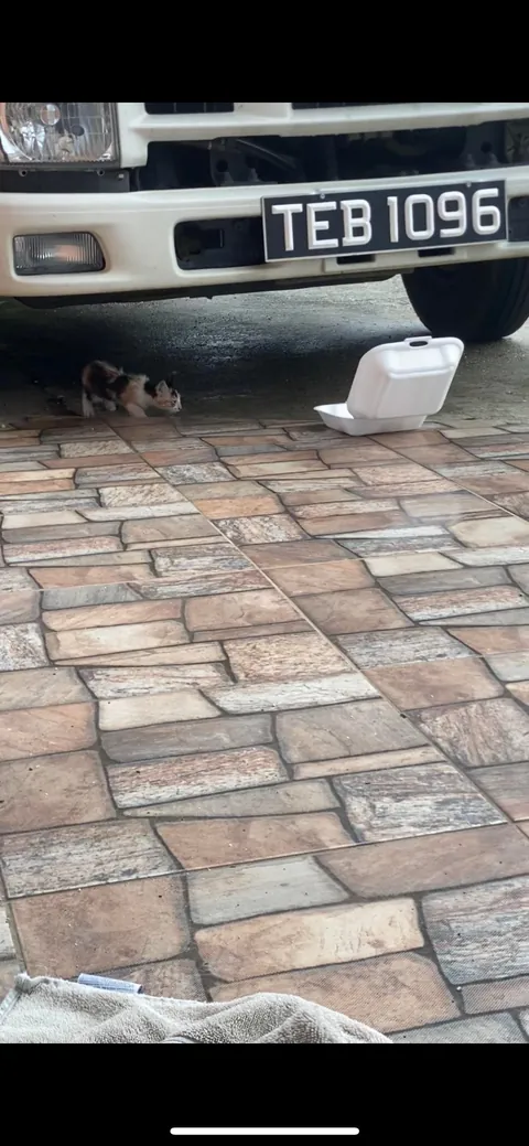 She saved me from committing suicide and gave me a reason to live.