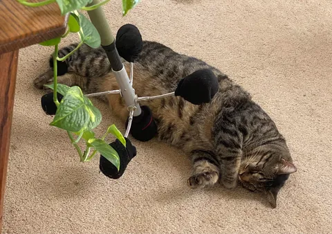 Said goodbye to my eyeless boy