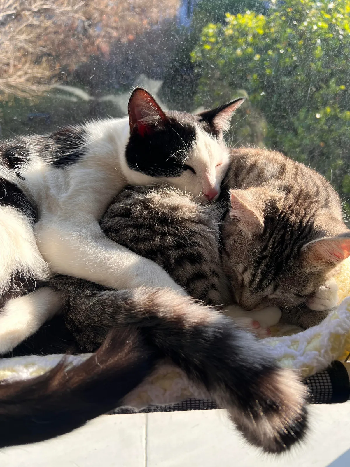 These guys have only known each other a few weeks