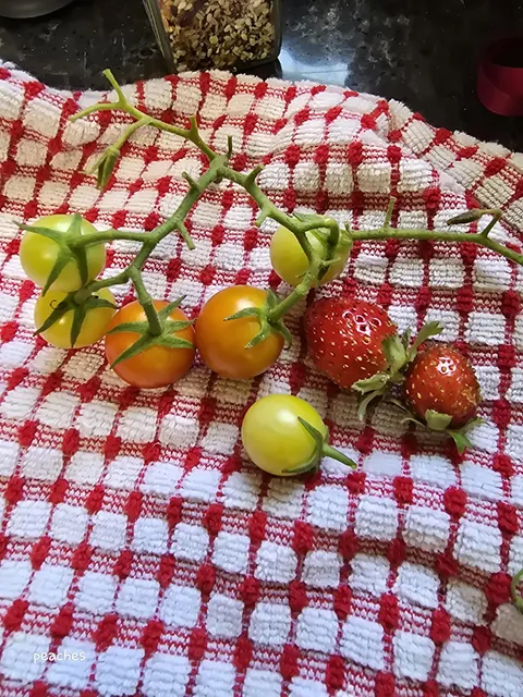 a harvest is a harvest!