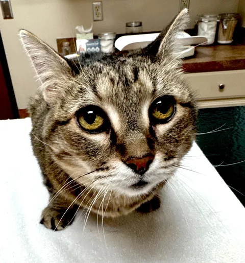 So long sweet Mama. You bore your 21 years like a rockstar