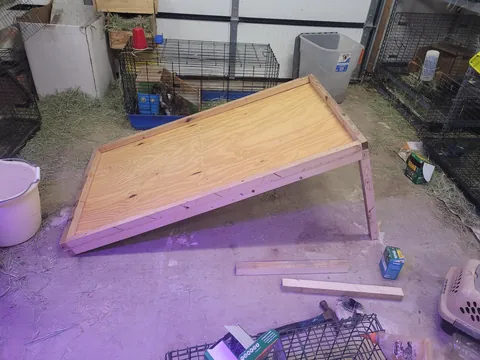 Sheepdog Too Big. Built A Bed To Match Dimensions To Our Queen. Used 100% Recycled Materials. £0 Spent. I Will Build/Install Drawer Tomorrow.