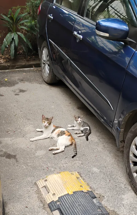 Like Mother, like daughter