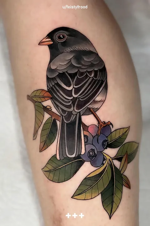 Monthly Recap: Top Posts of August &amp; September 2025 | Comment Down Your Favorite!