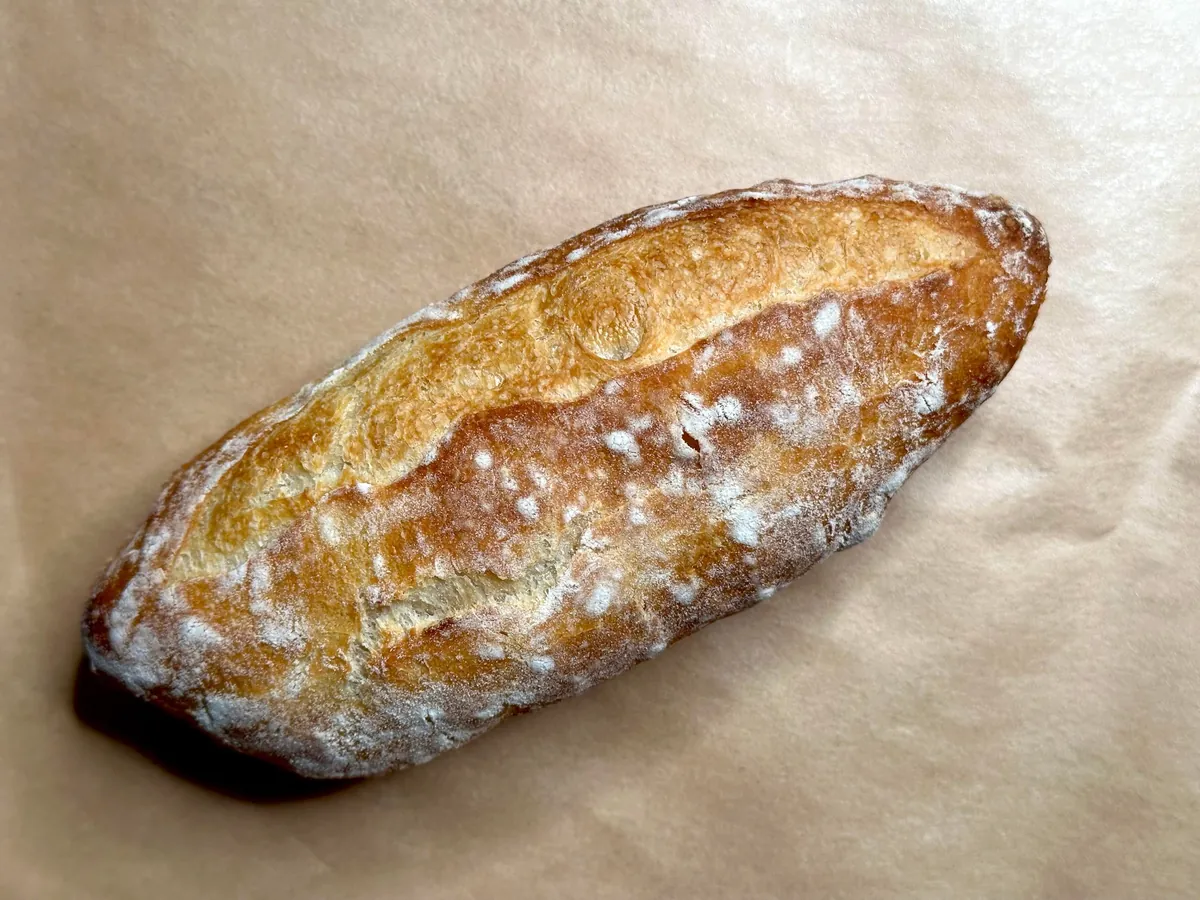 Mortadella, mozzarella, and avocado on [homemade] sandwich roll