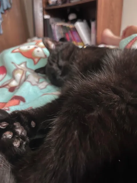 just wanted to share my 17 yr old boy today💜