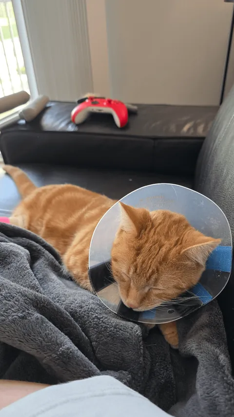 A glimpse into my life right now.