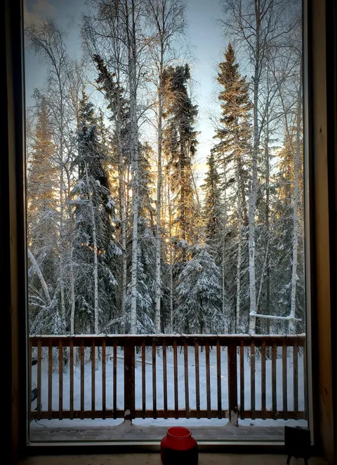 Second day in my new cabin in Alaska. Soon the sun will disappear for months. 