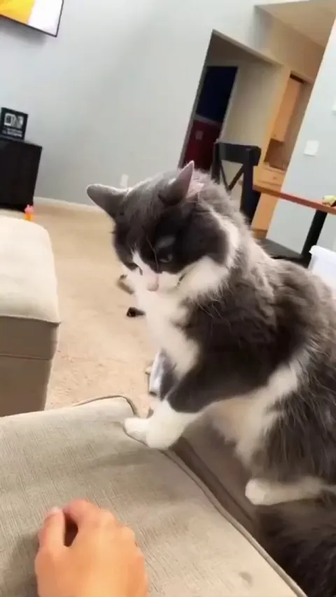 dont you dare point that finger at me 😂😂😂😍😍