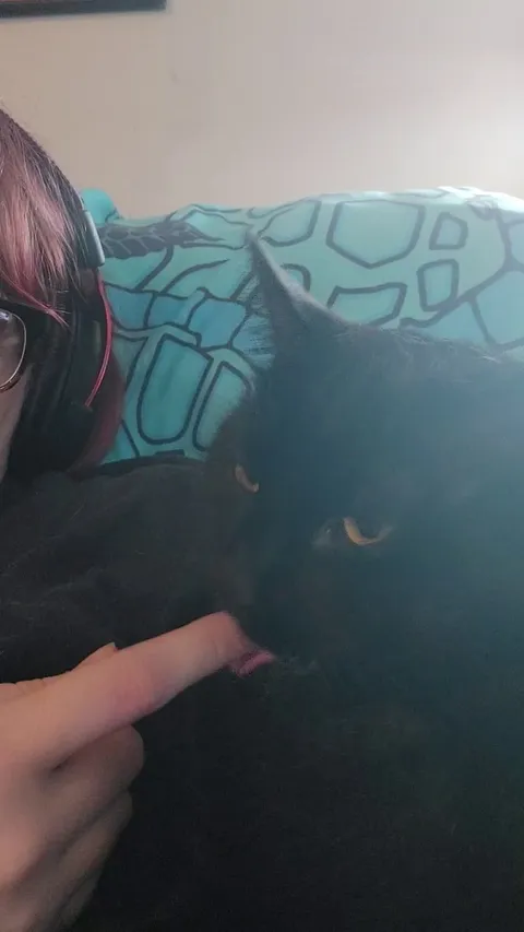 Why does Egg chew on my fingers?