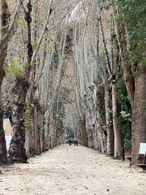 Amazing few days in Algeria