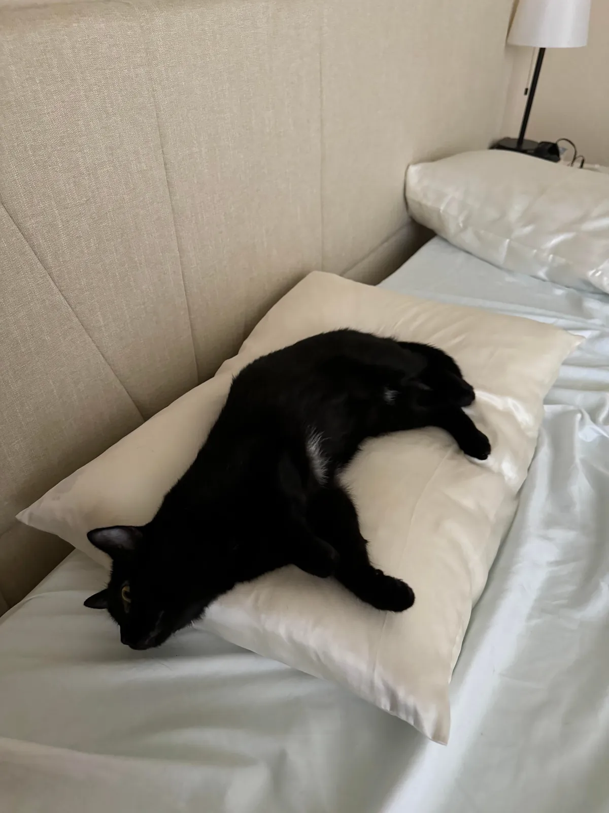 It’s my adopted baby’s first (estimated) birthday!