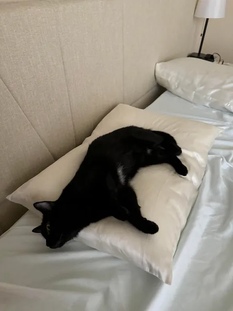 It’s my adopted baby’s first (estimated) birthday!