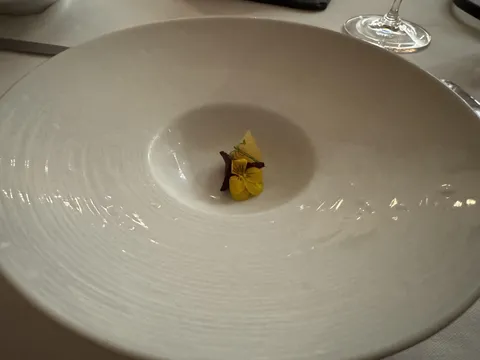 One of the courses at my wife's fine dining experience in India.