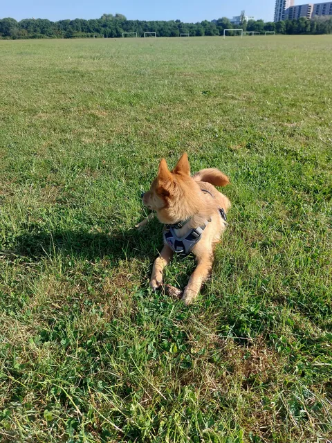 My bestest buddy Felix