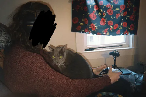 My 12 y/o cat never sat on my lap, then my GF moved in…