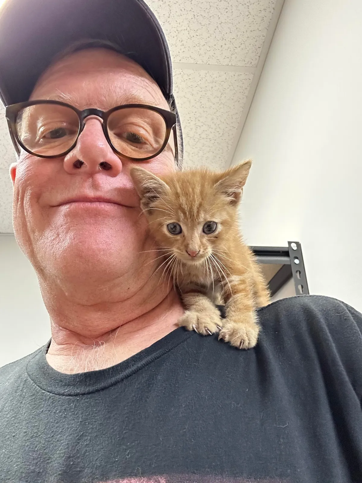 Found little Oliver in a propane exchange cabinet at work.