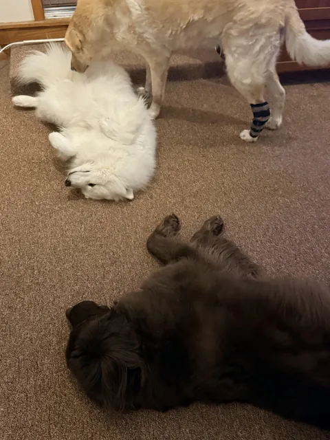 My coworkers are lazy, unhelpful, do not complete tasks on time. They also expect to be waited on.