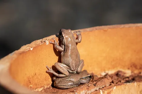 🔥 19 images from the Comedy Wildlife People's Choice Awards