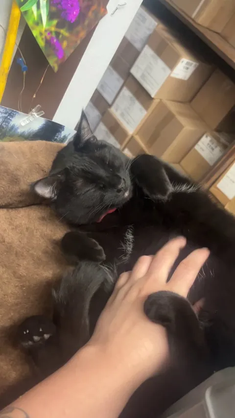 I still can’t believe this was allowed